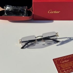 Sunglass